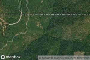 Silver Fork