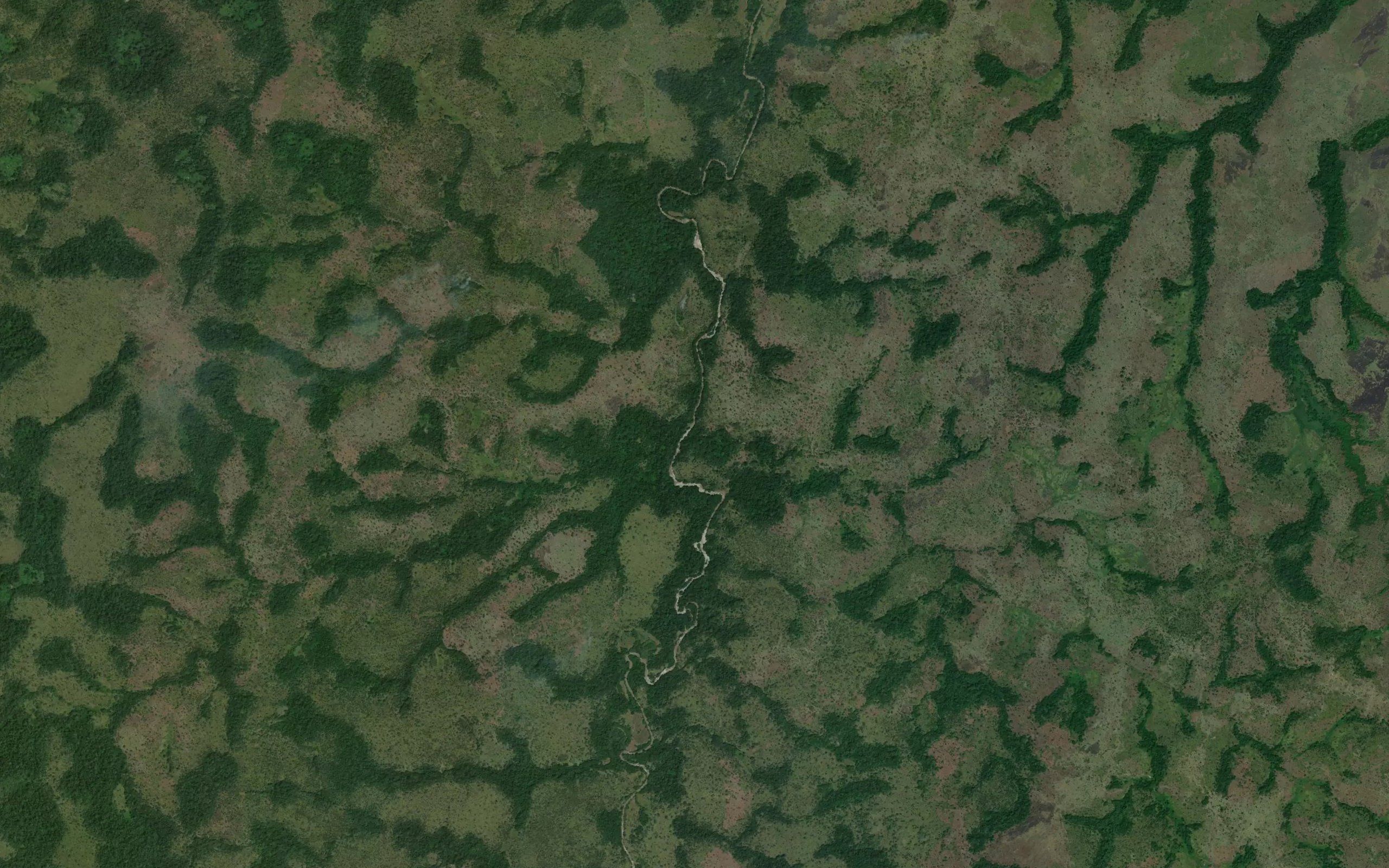 Olibindi