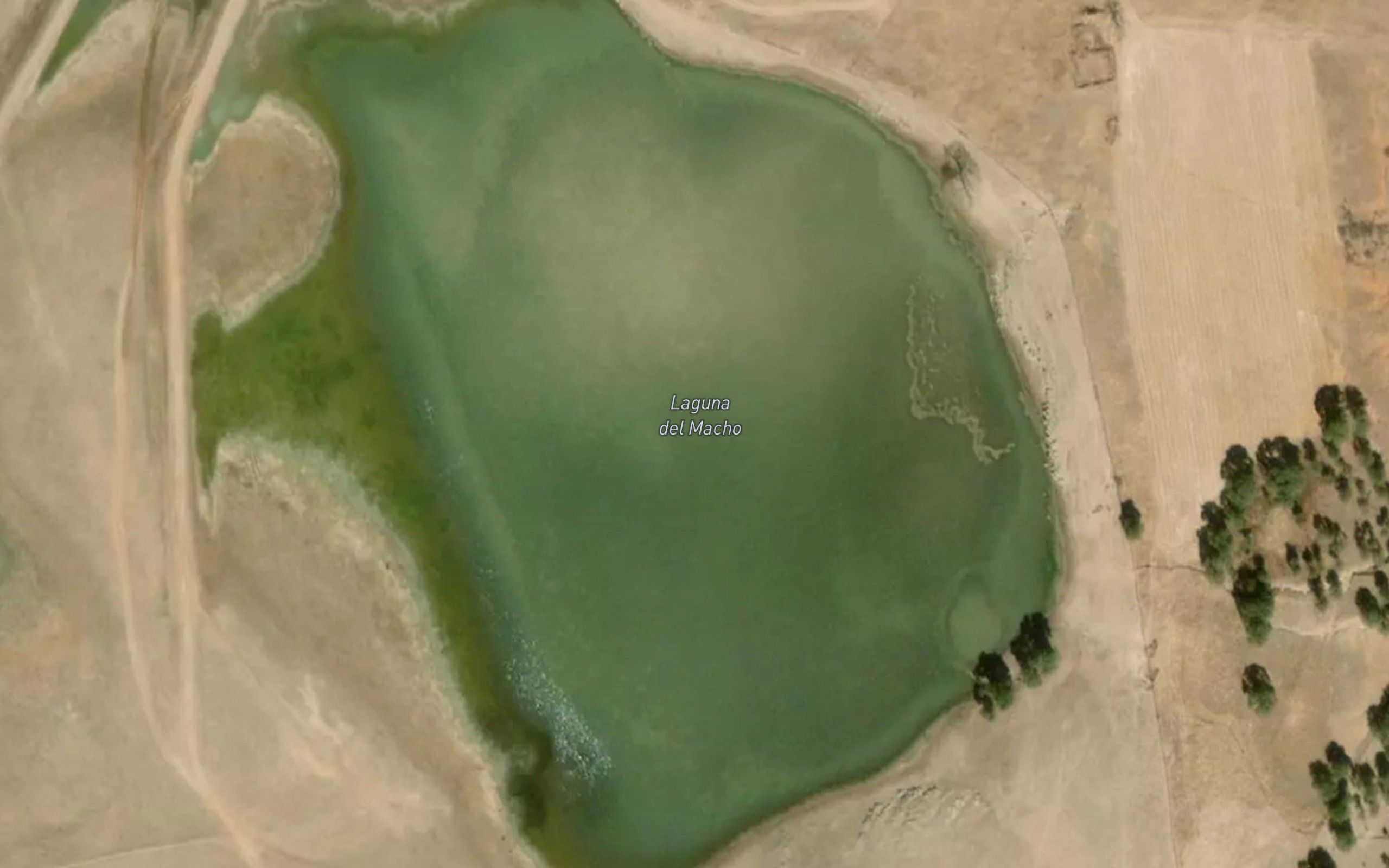 Laguna del Macho