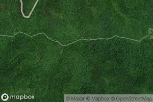 Maxwell Branch