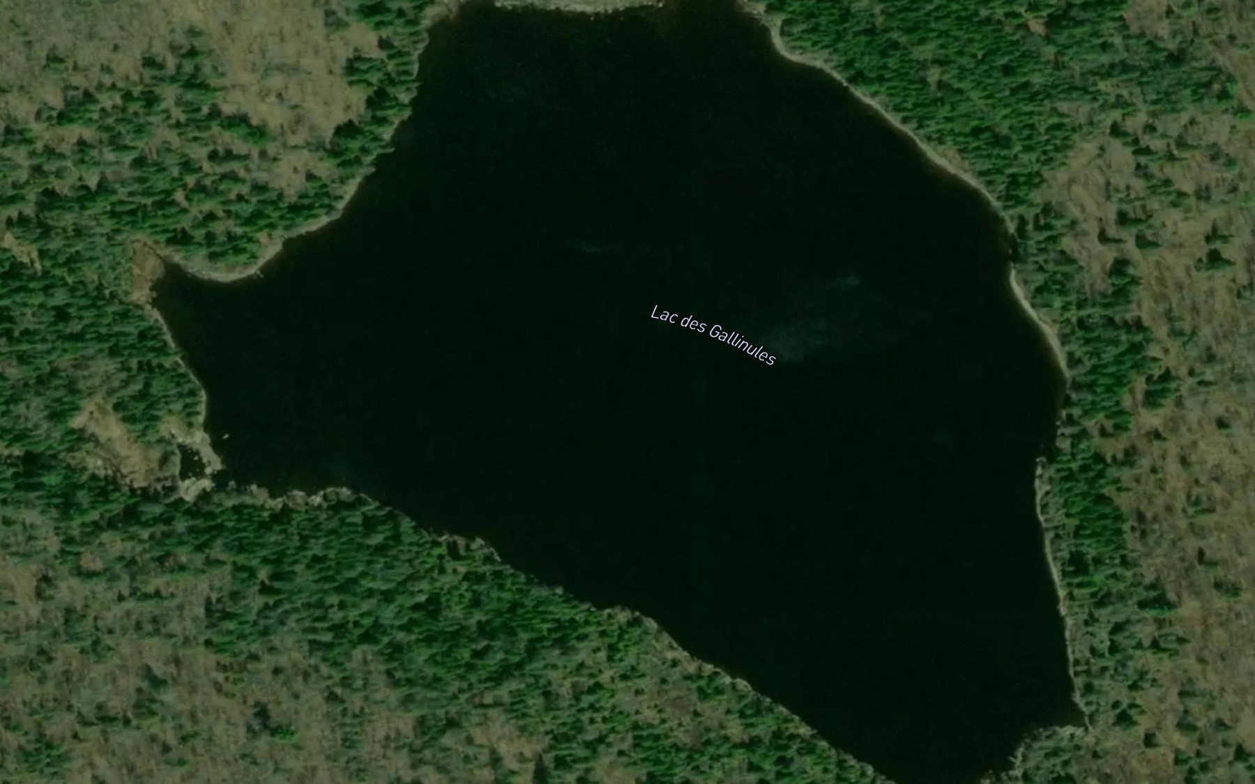 Satellite map of the Lac des Gallinules