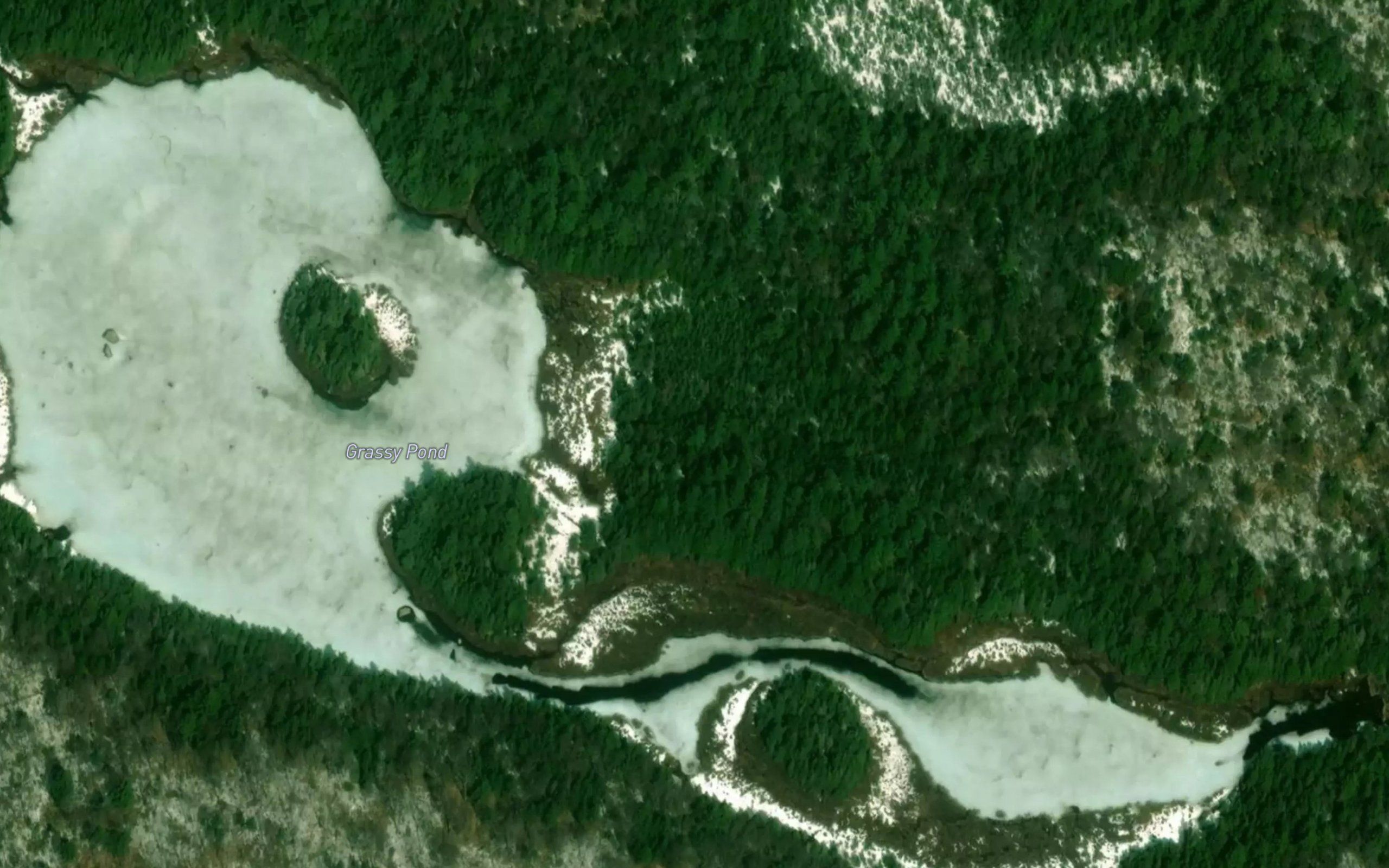 Grassy Pond