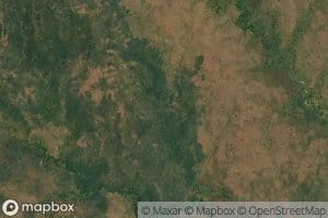 Chinongongo wa Awisa