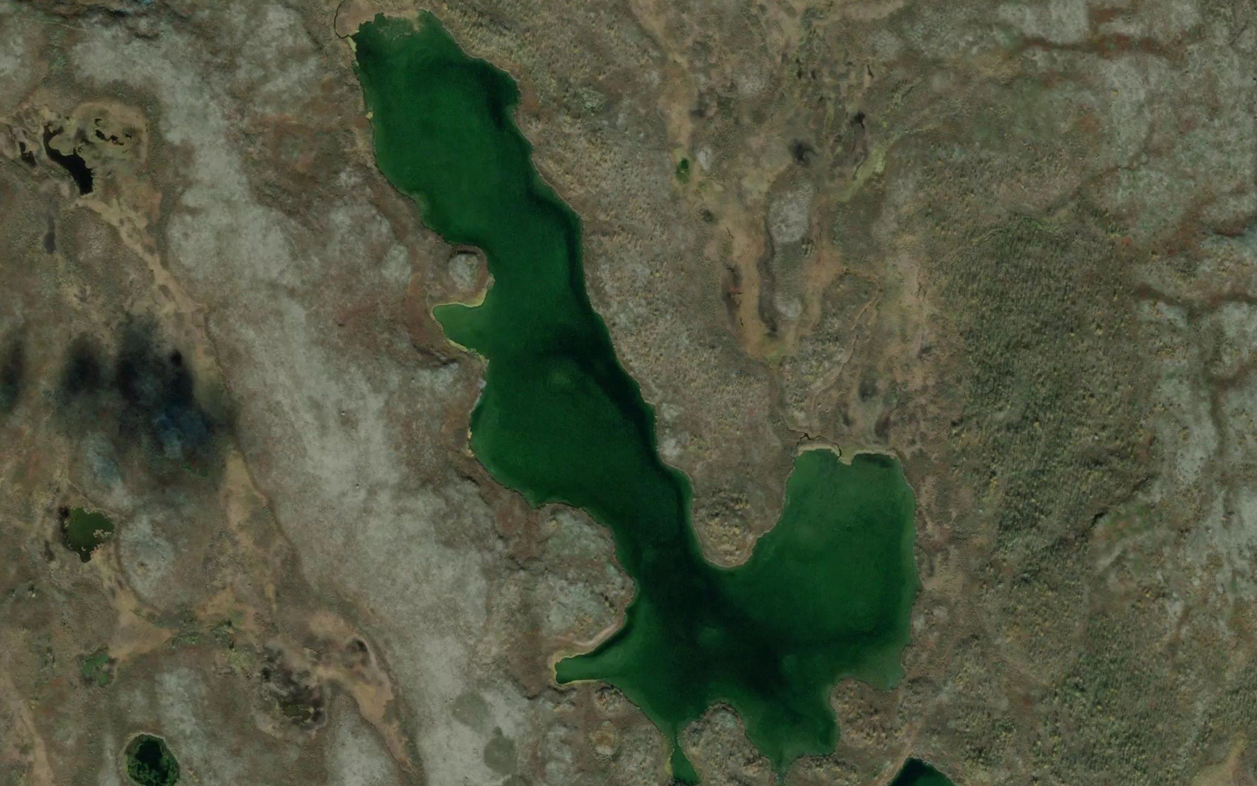 Ginnosvannet