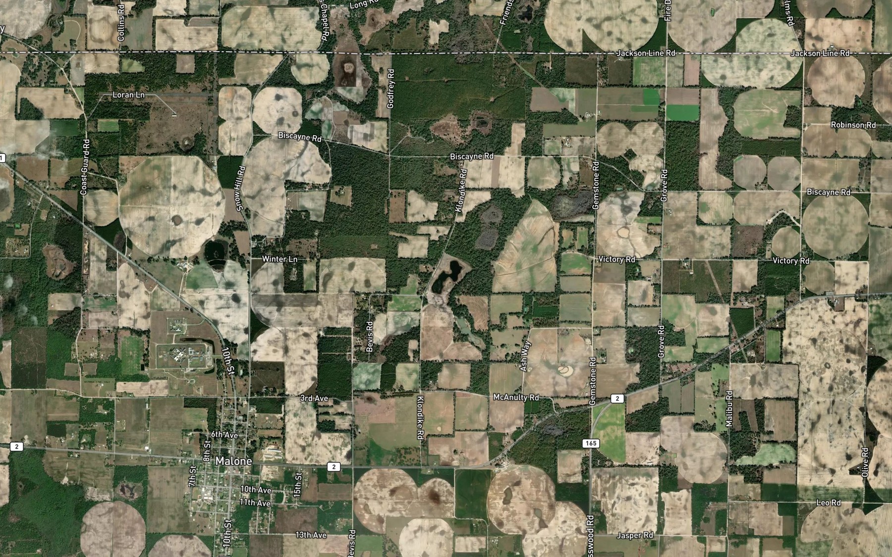 Satellite map of the Williams Pond