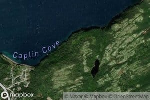 Caplin Cove