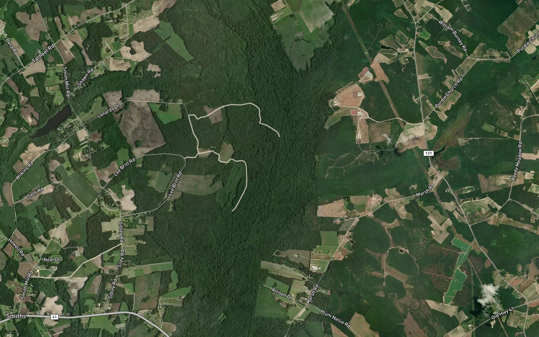 Satellite map of the Goodman Swamp