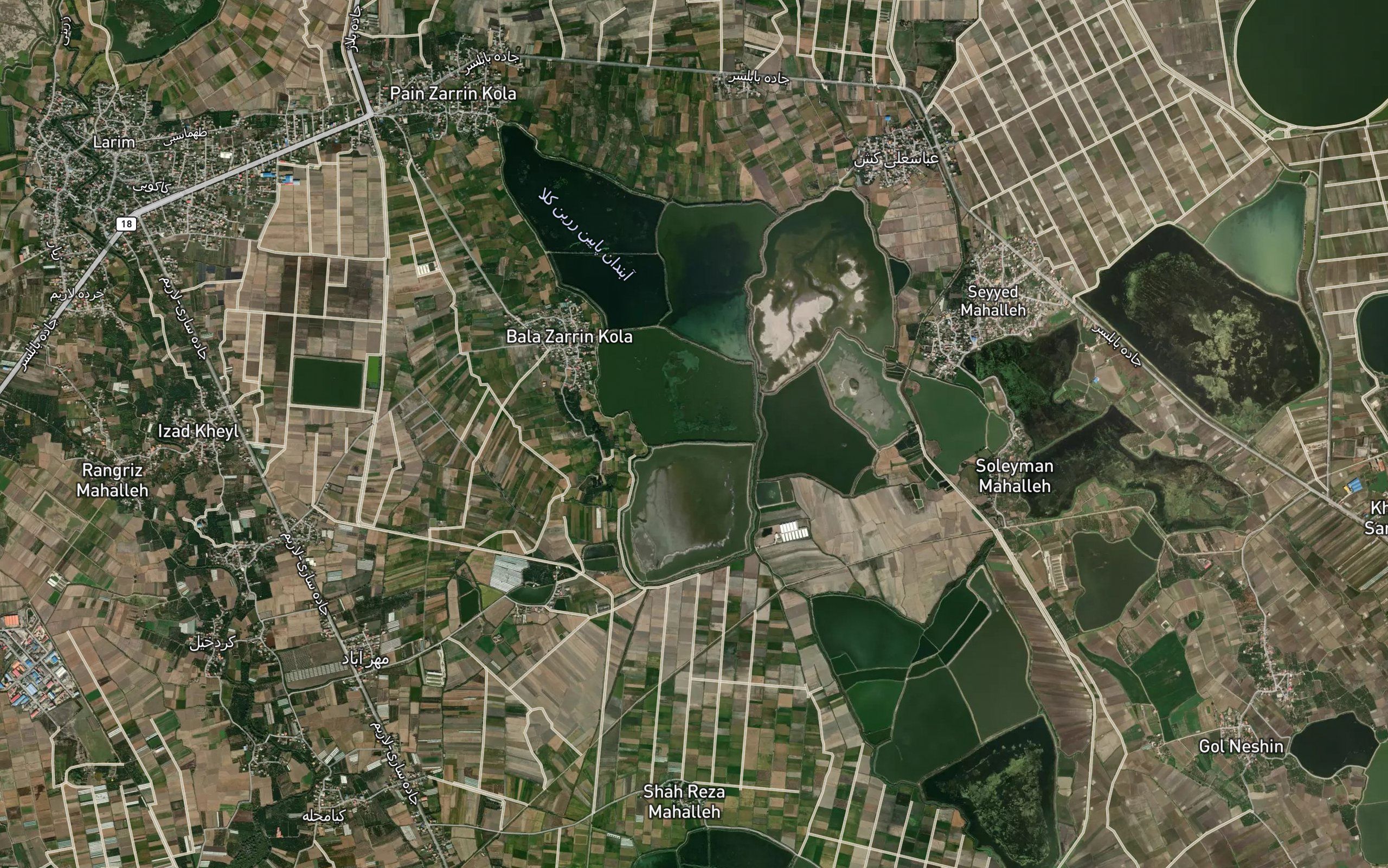 Bala