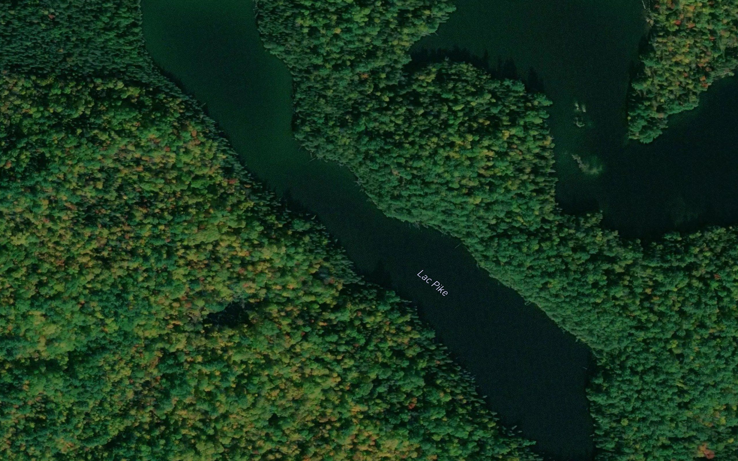 Lac Pike