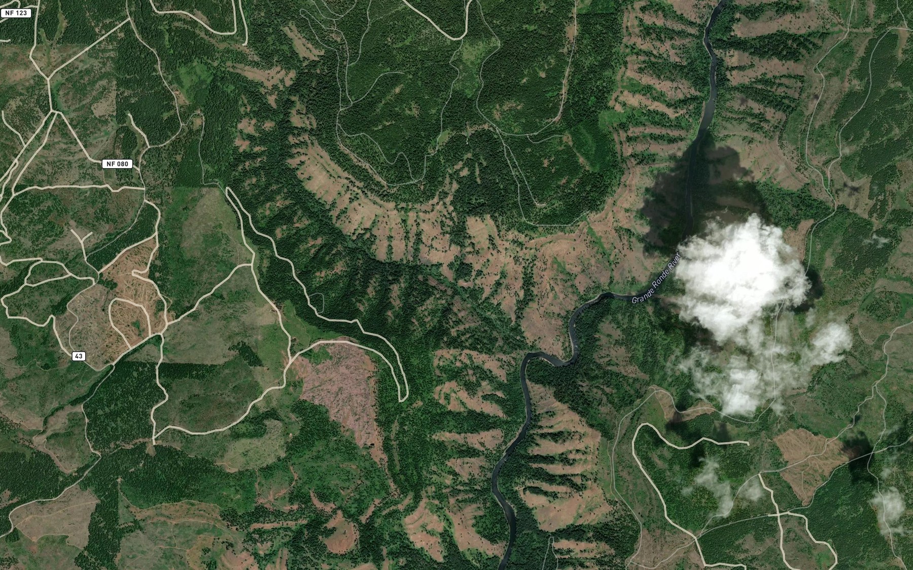Satellite map of the Proctor Creek