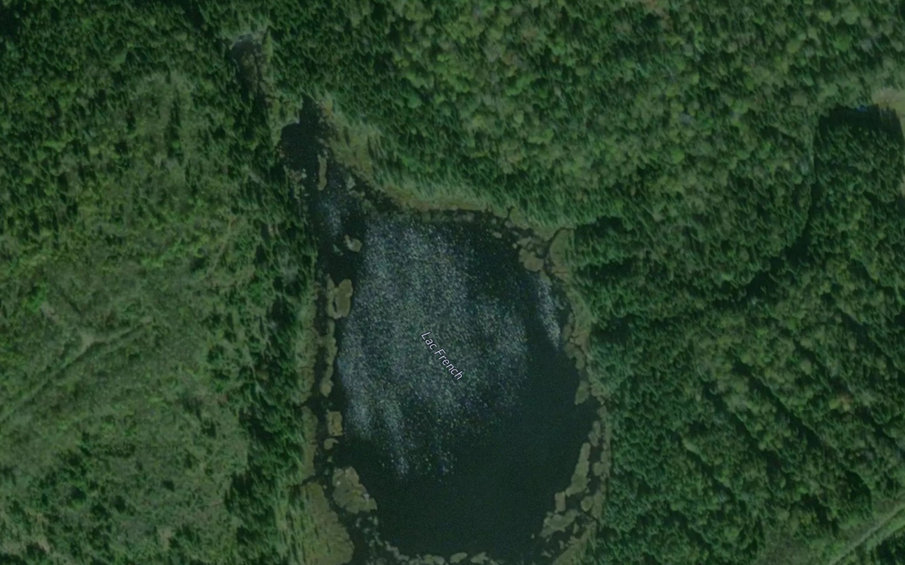 Satellite map of the Lac French