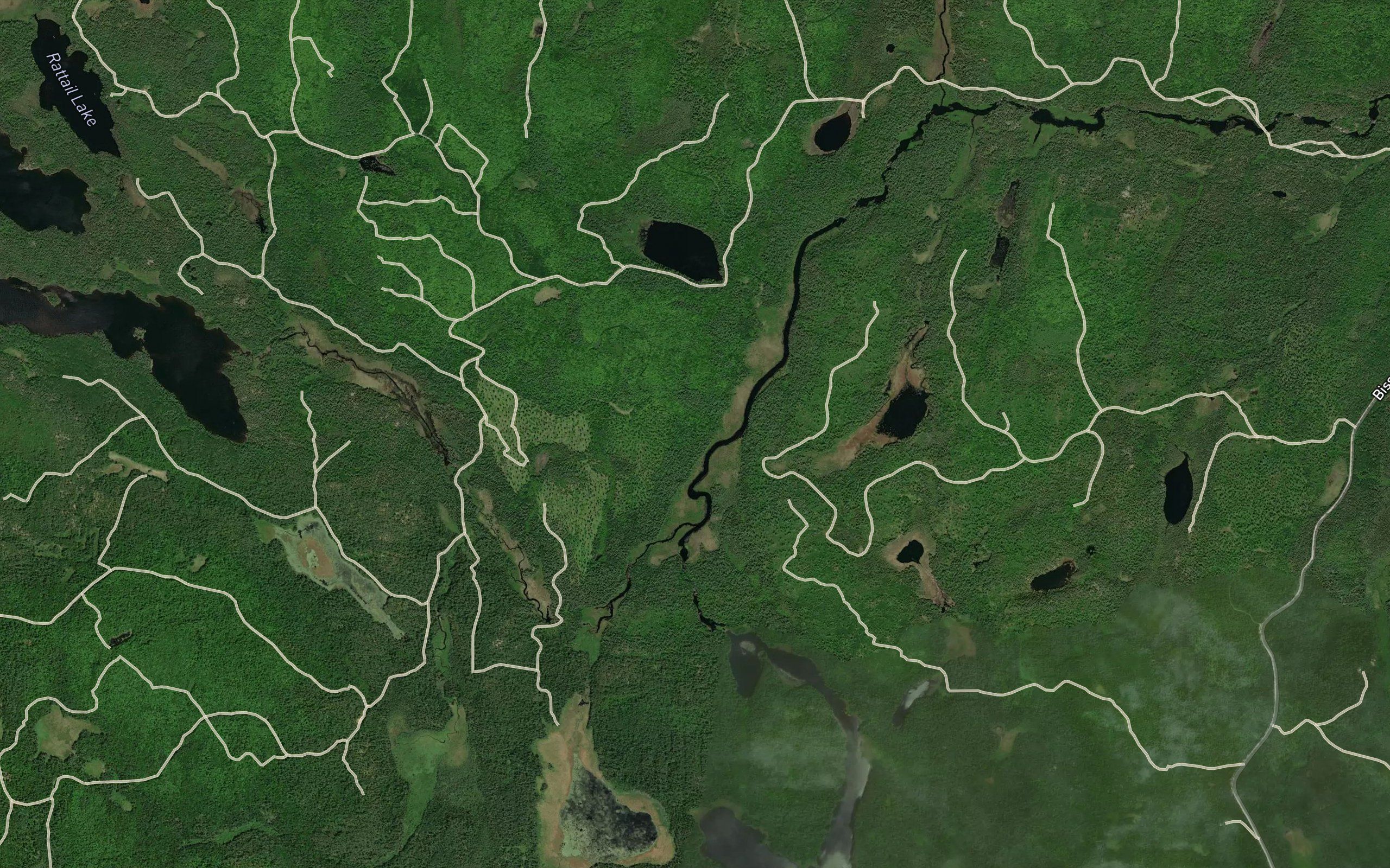 Little Bissett Creek