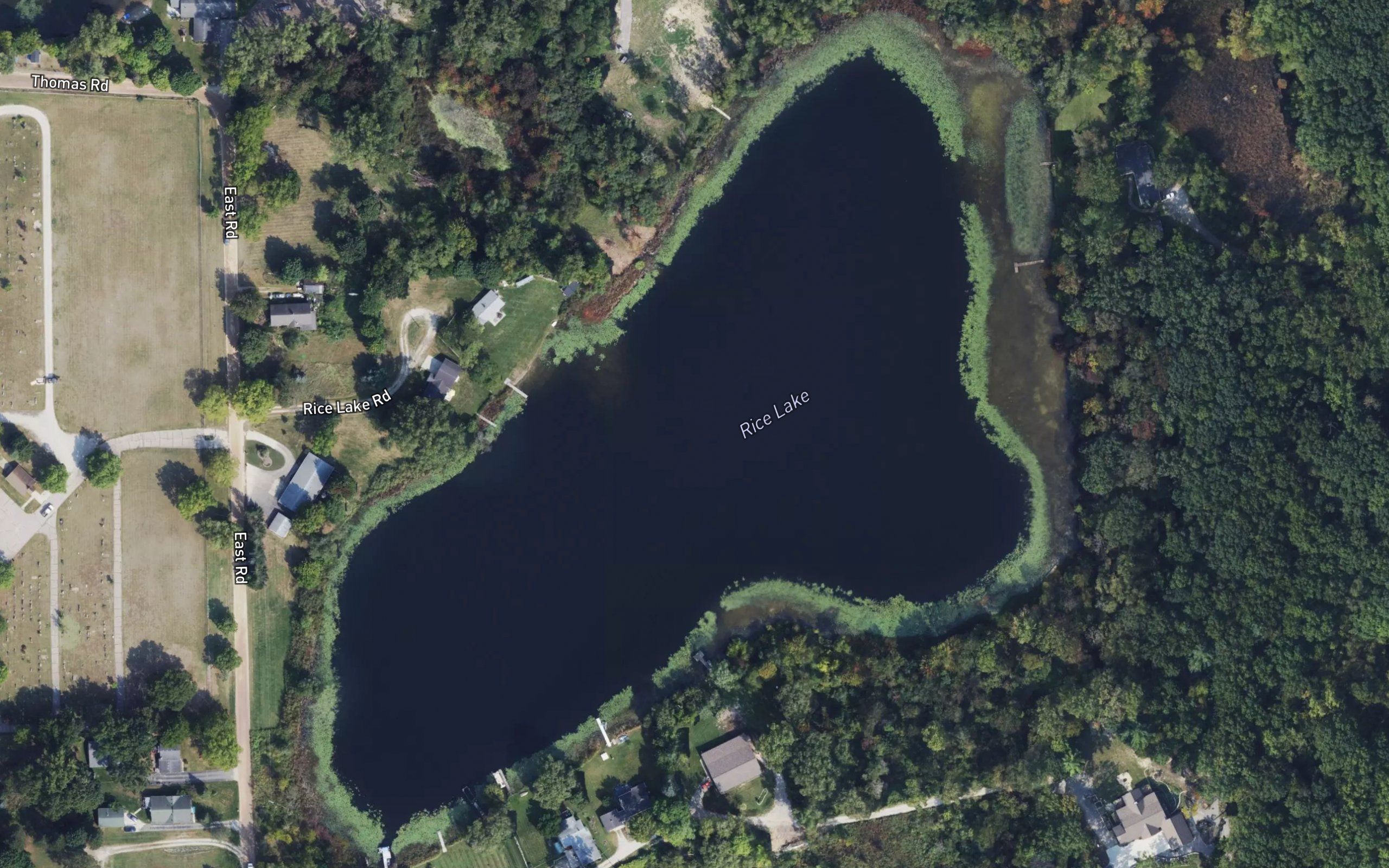 Rice Lake