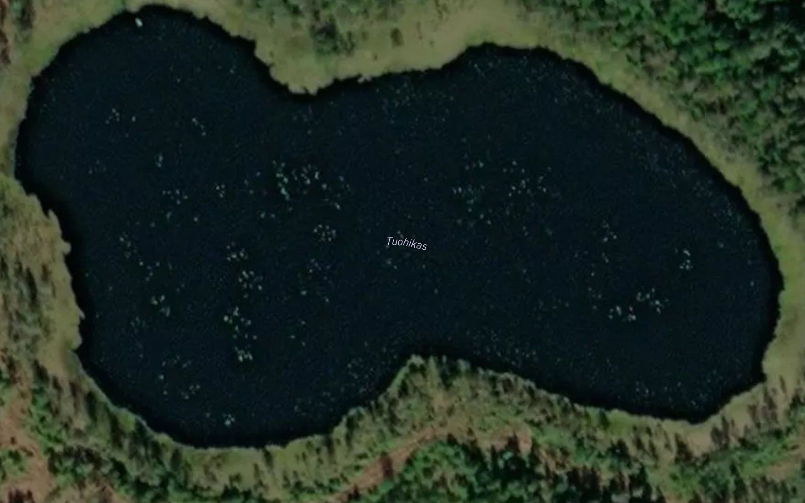 Tuohikas