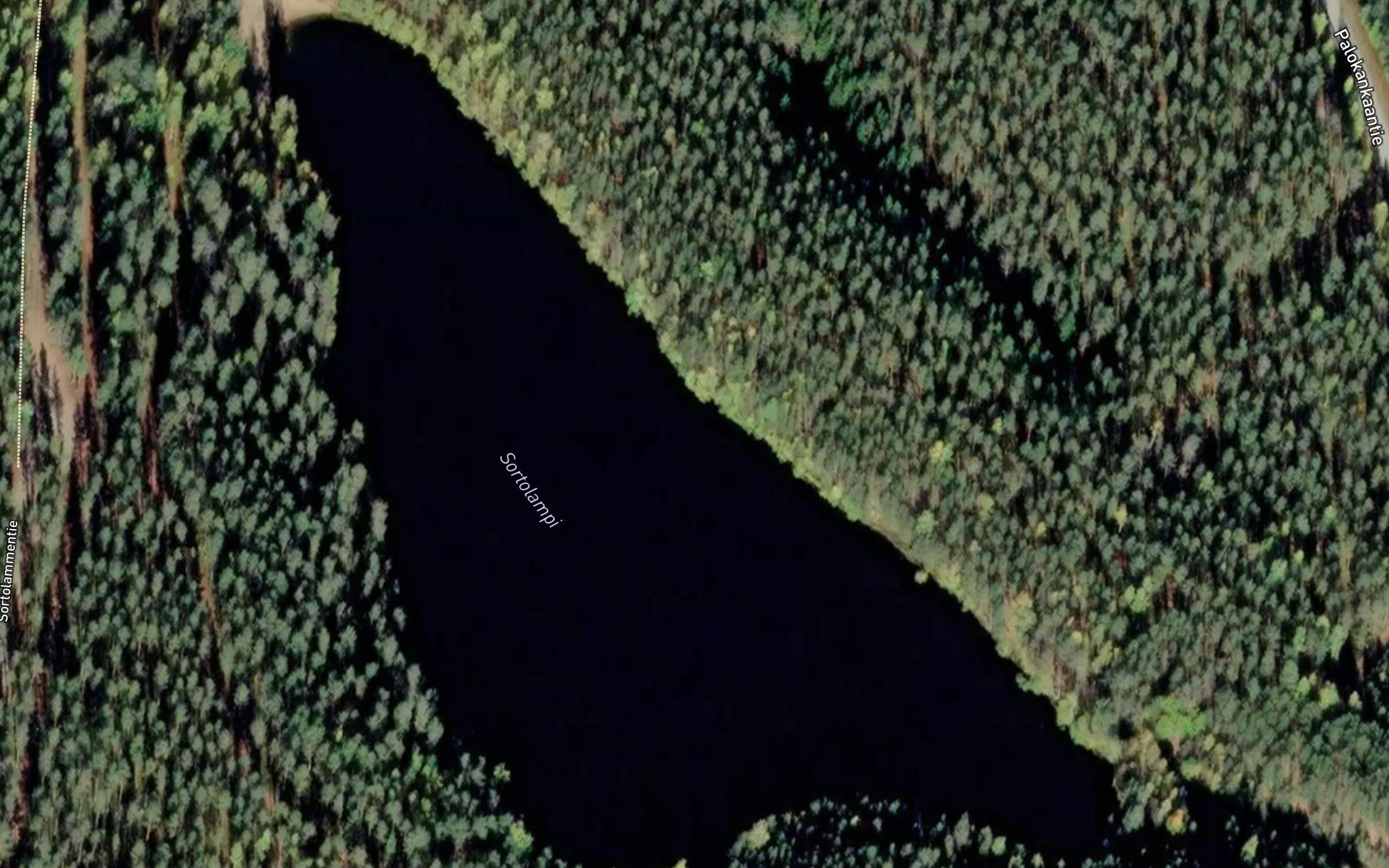 Sortolampi