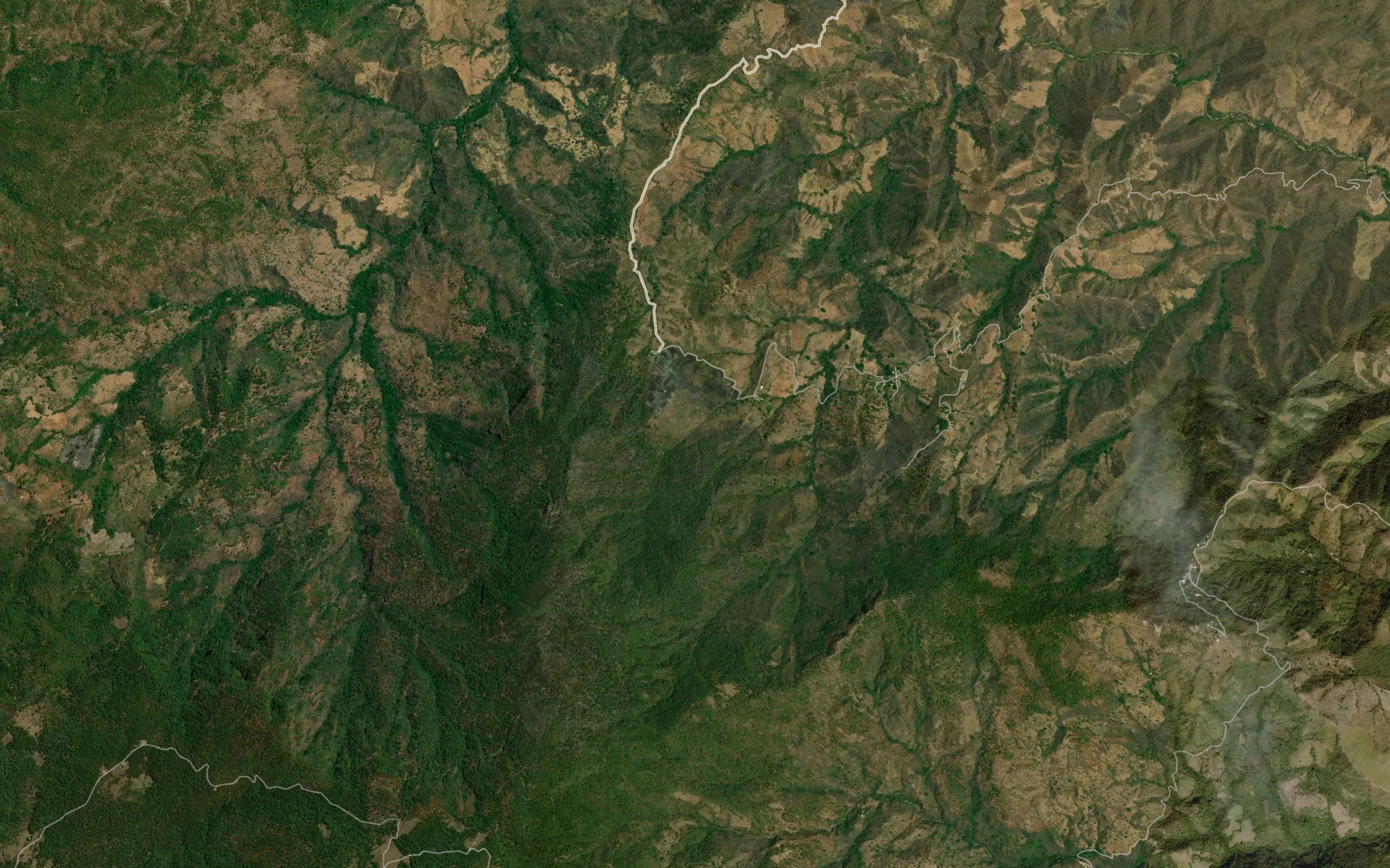 Barranca El Pino