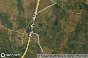Chimoya