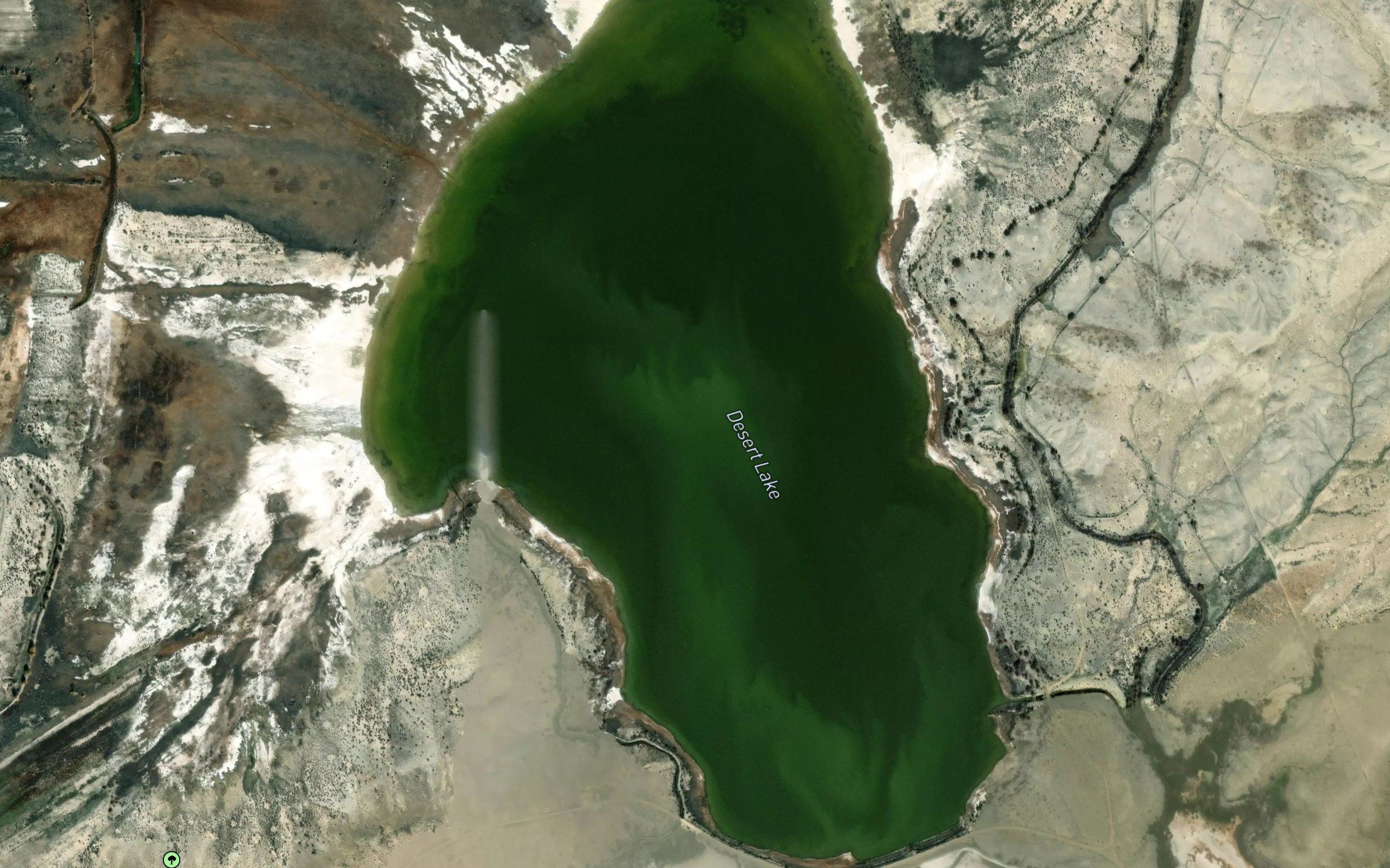 Desert Lake
