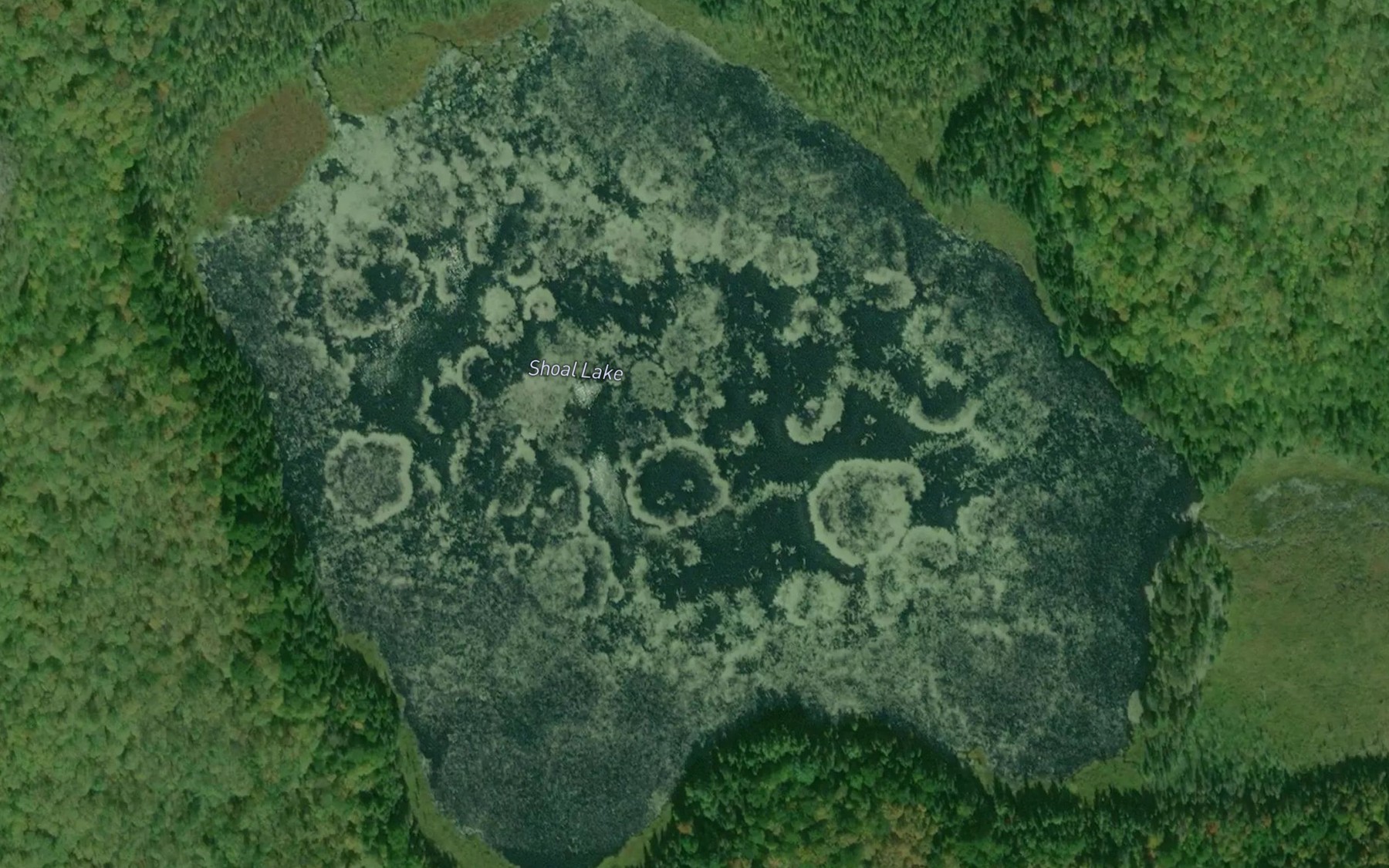 Satellite map of the Shoal Lake