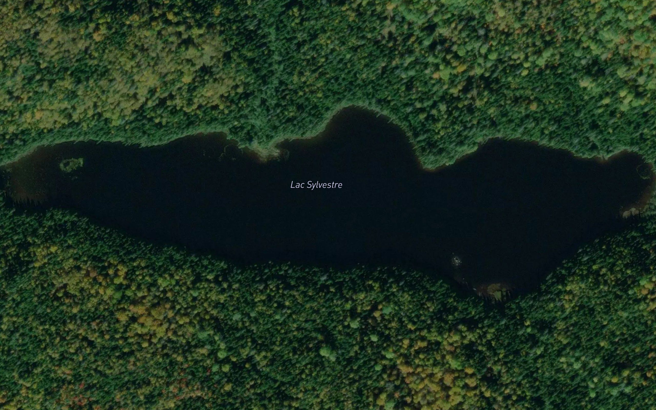 Lac Sylvestre