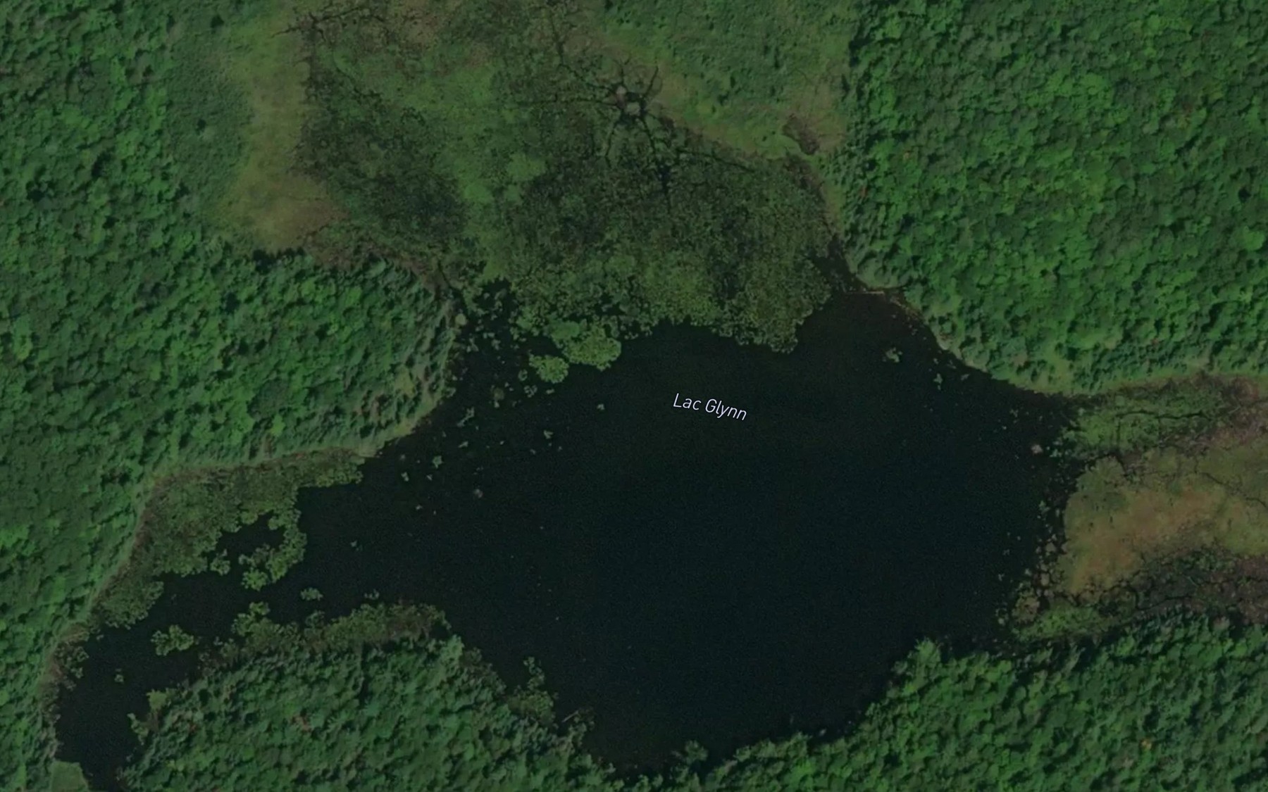 Satellite map of the Lac Glynn