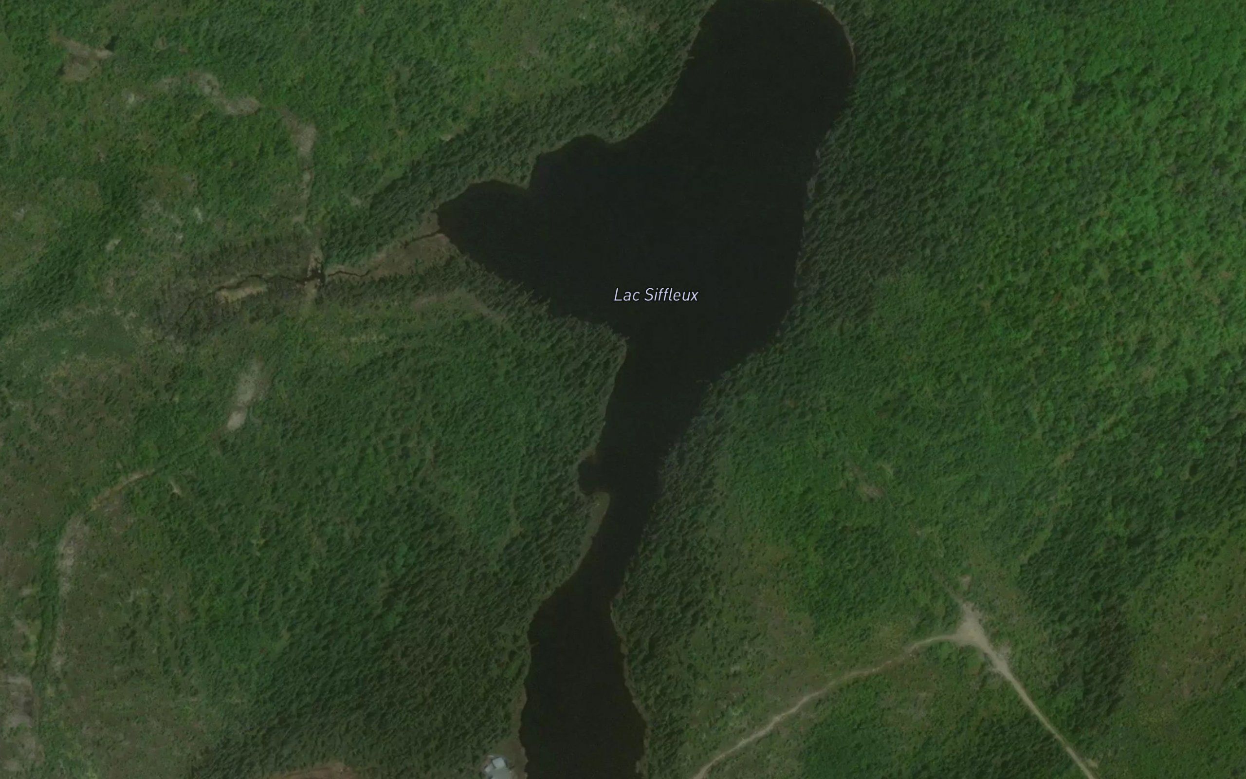 Lac Siffleux
