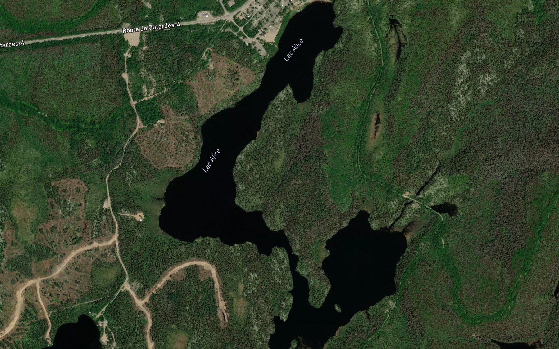 Satellite map of the Lac Alice