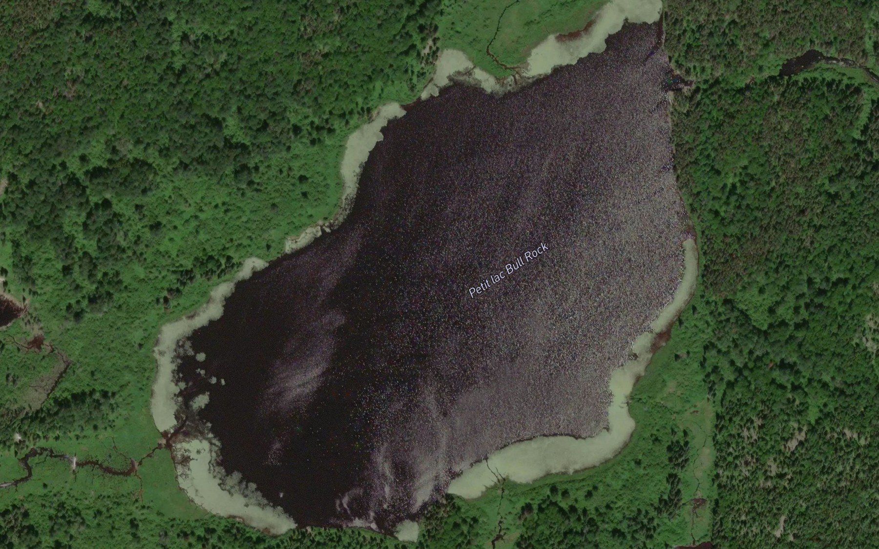 Satellite map of the Petit lac Bull Rock