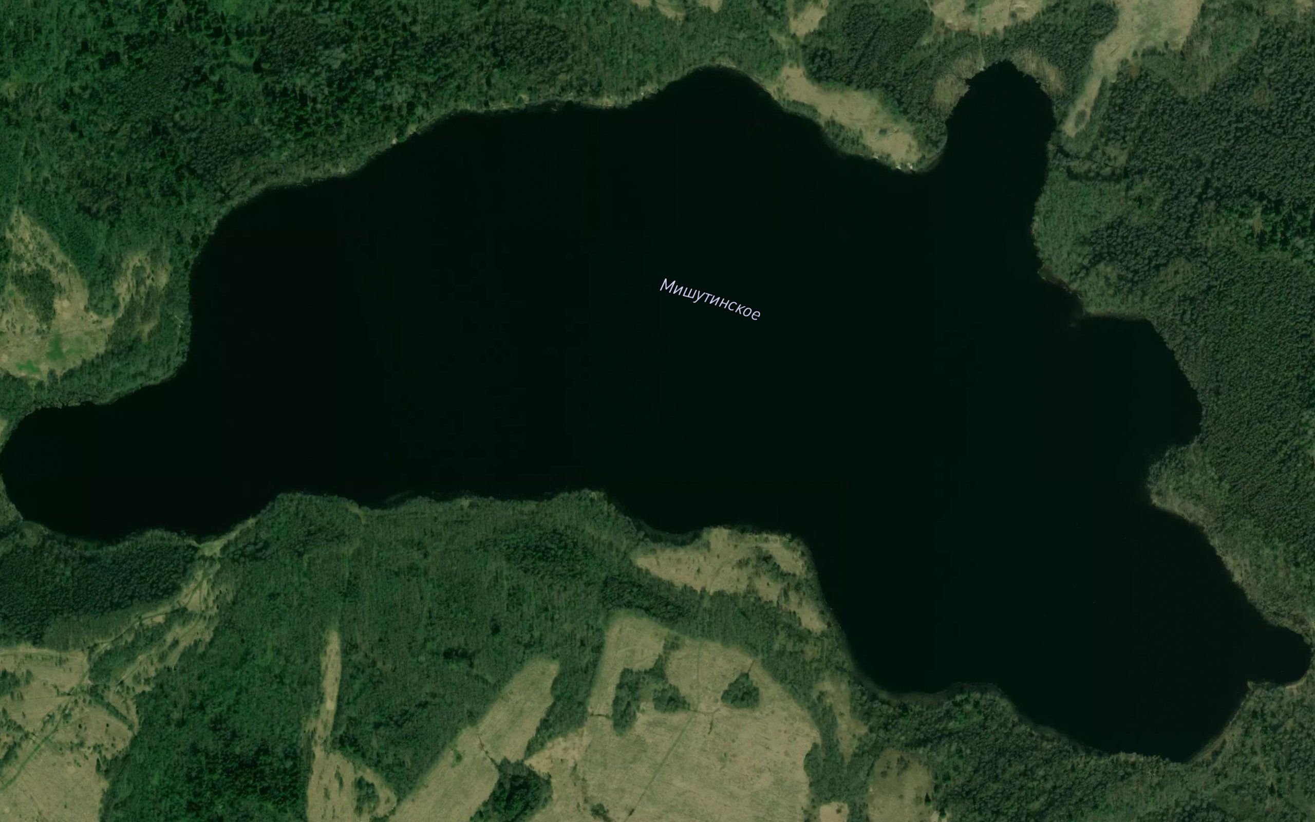Ozero Mishutinskoye
