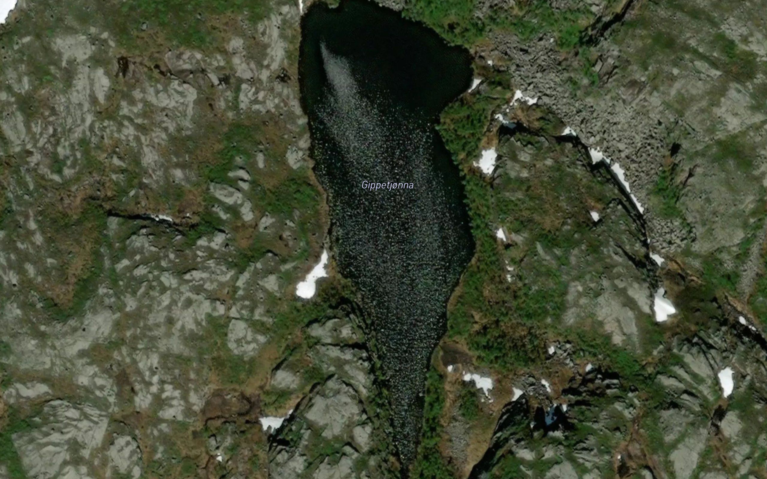 Gippetjorna