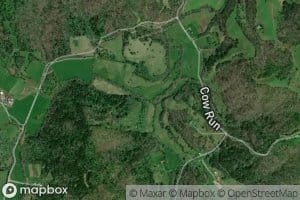 Left Fork Cow Run