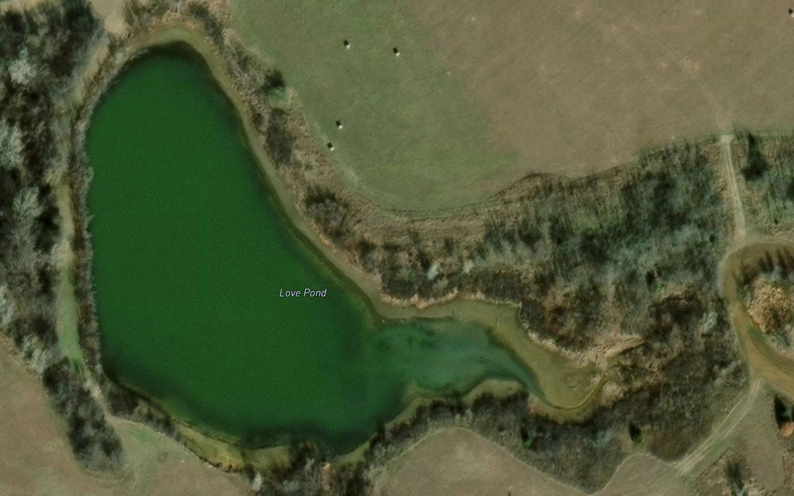 Love Pond