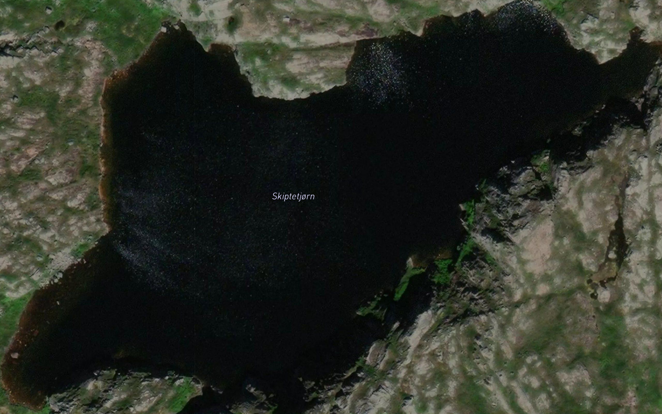 Skiptetjorn