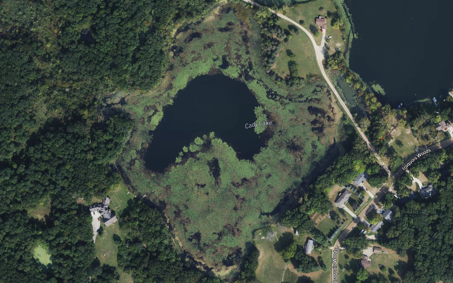 Satellite map of the Cady Lake