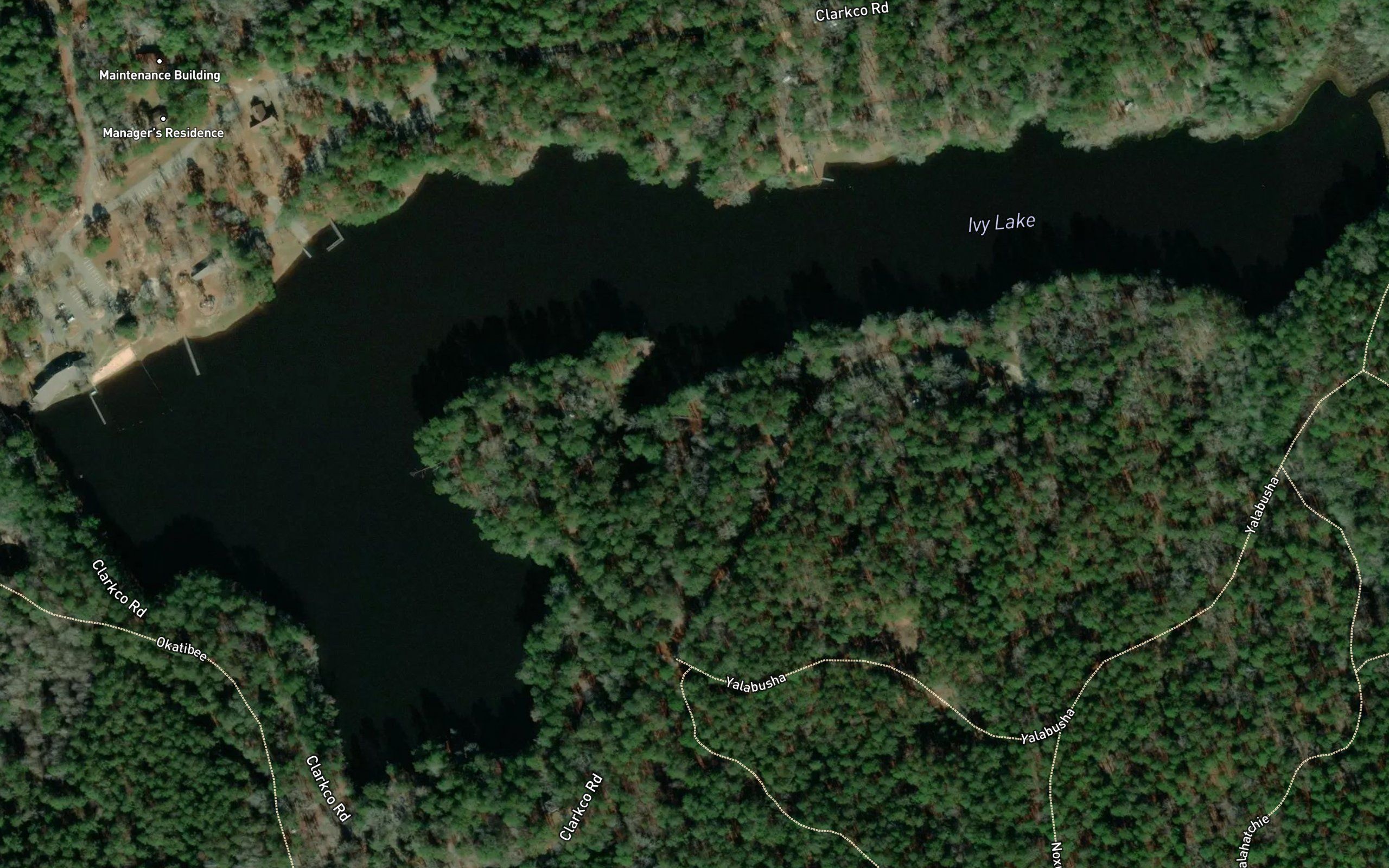Ivy Lake
