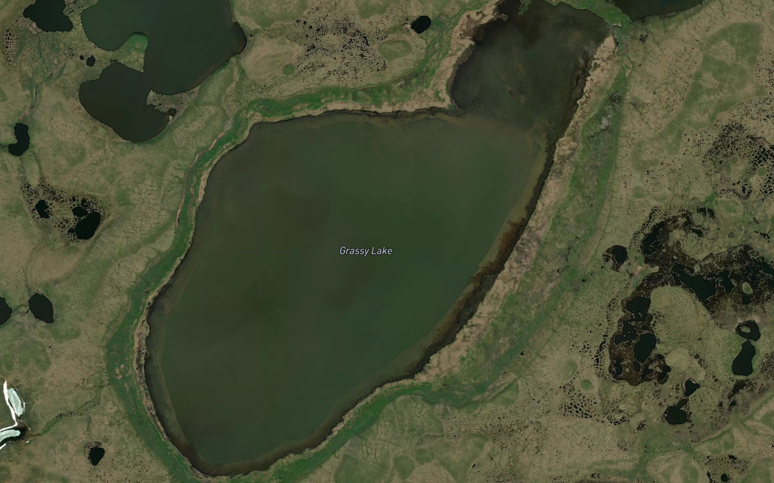 Grassy Lake