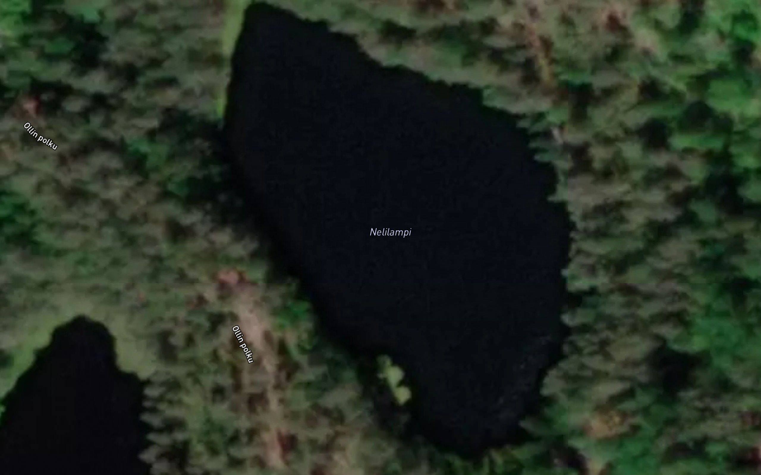 Nelilampi