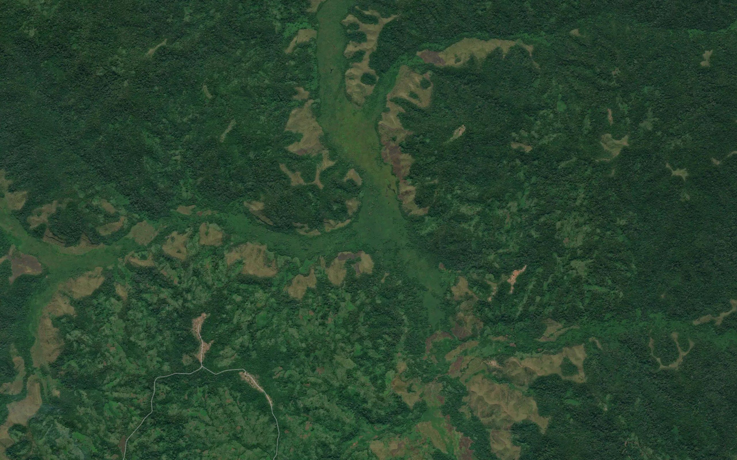 Mangulo