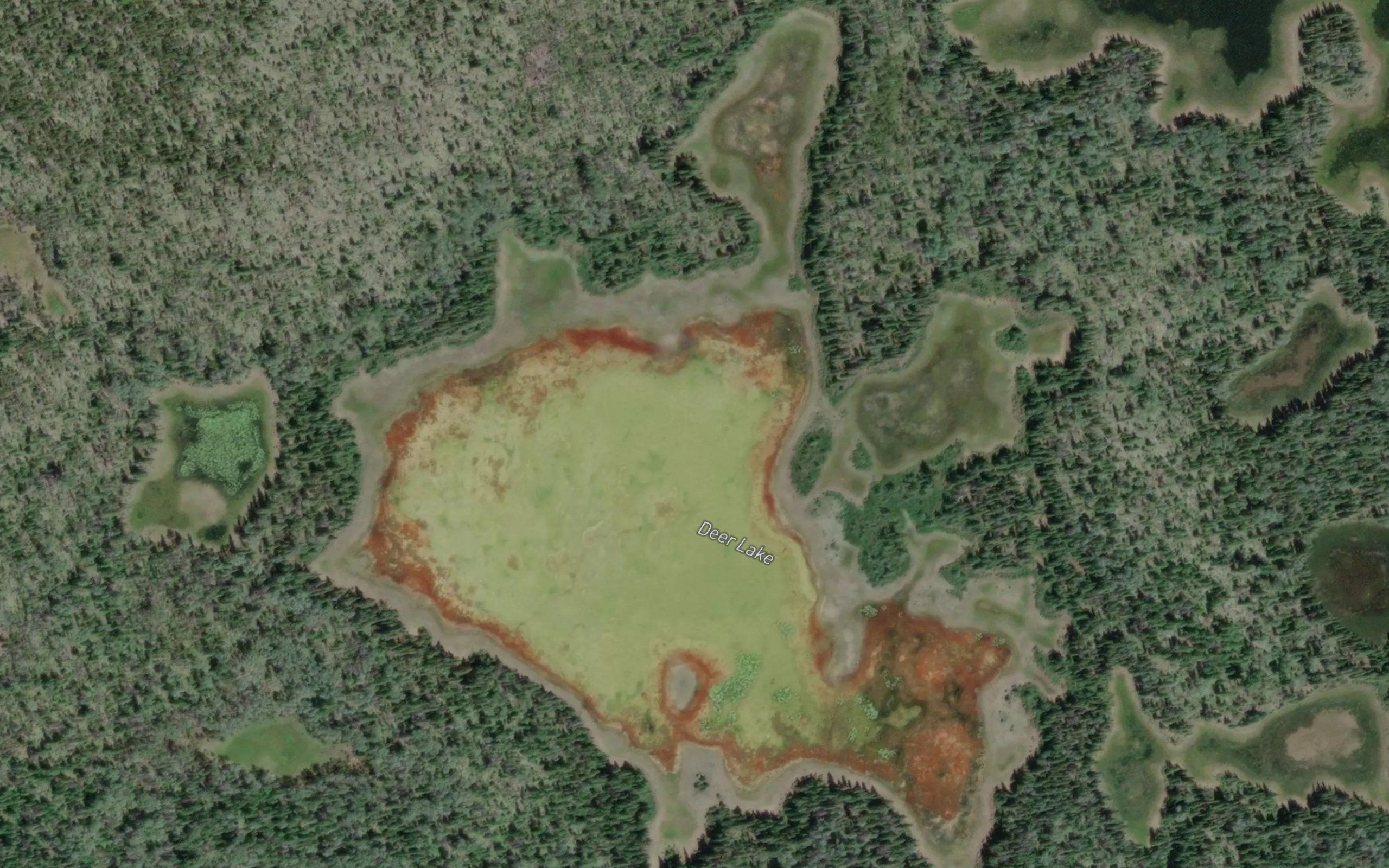 Deer Lake