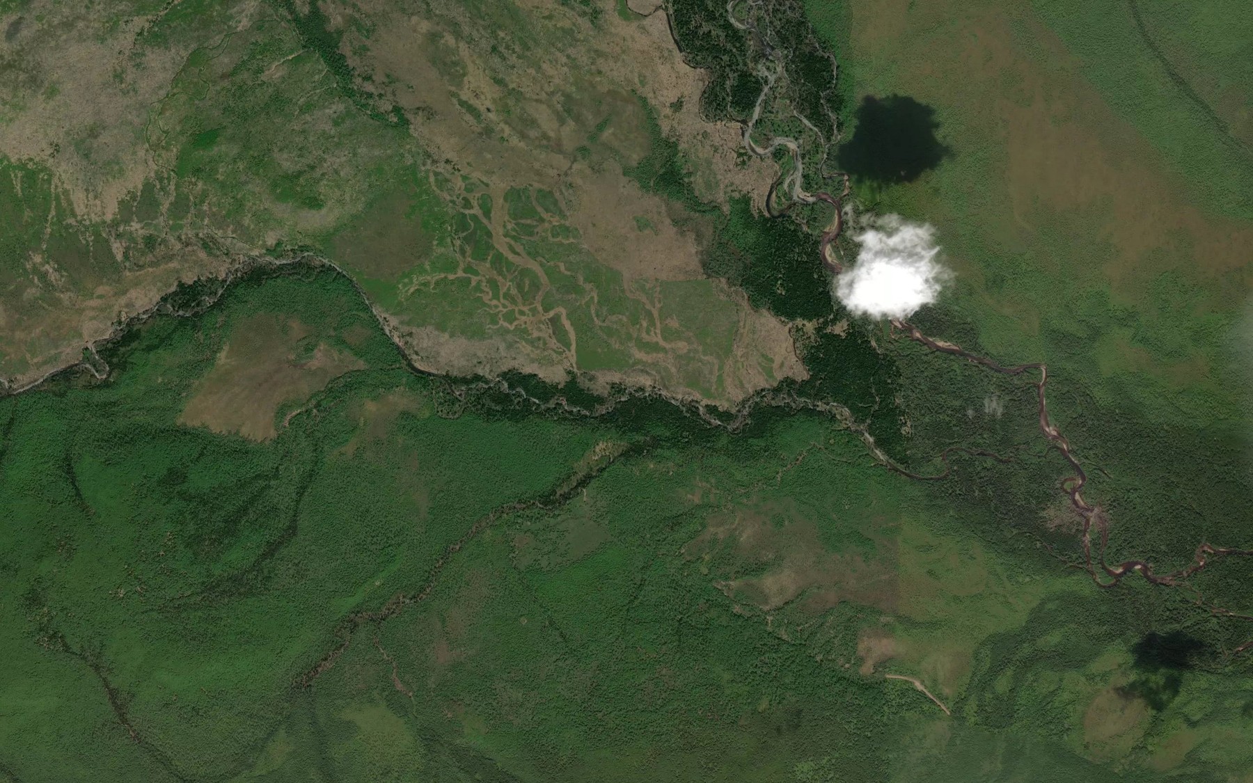 Satellite map of the Nizkiy