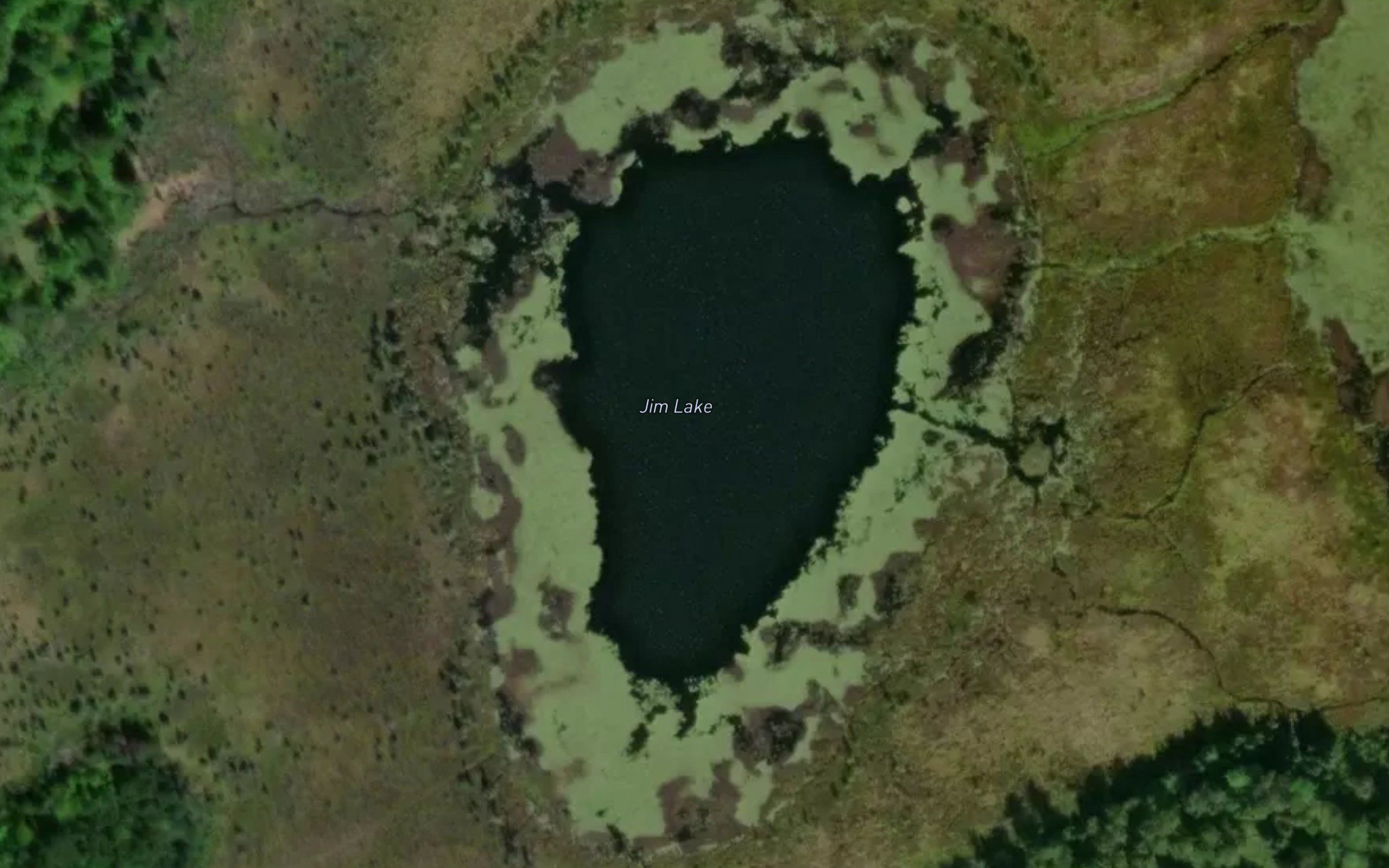 Jim Lake