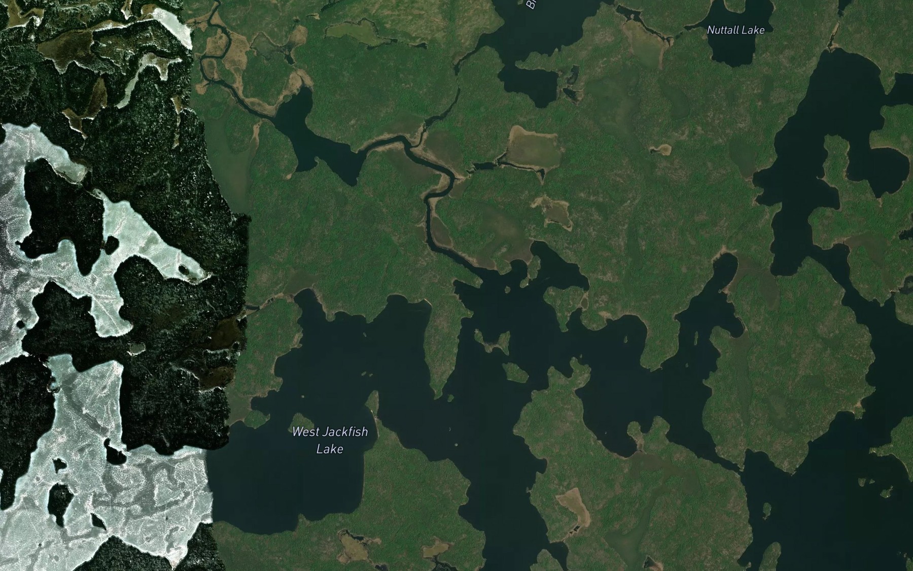 Satellite map of the Biddison Creek