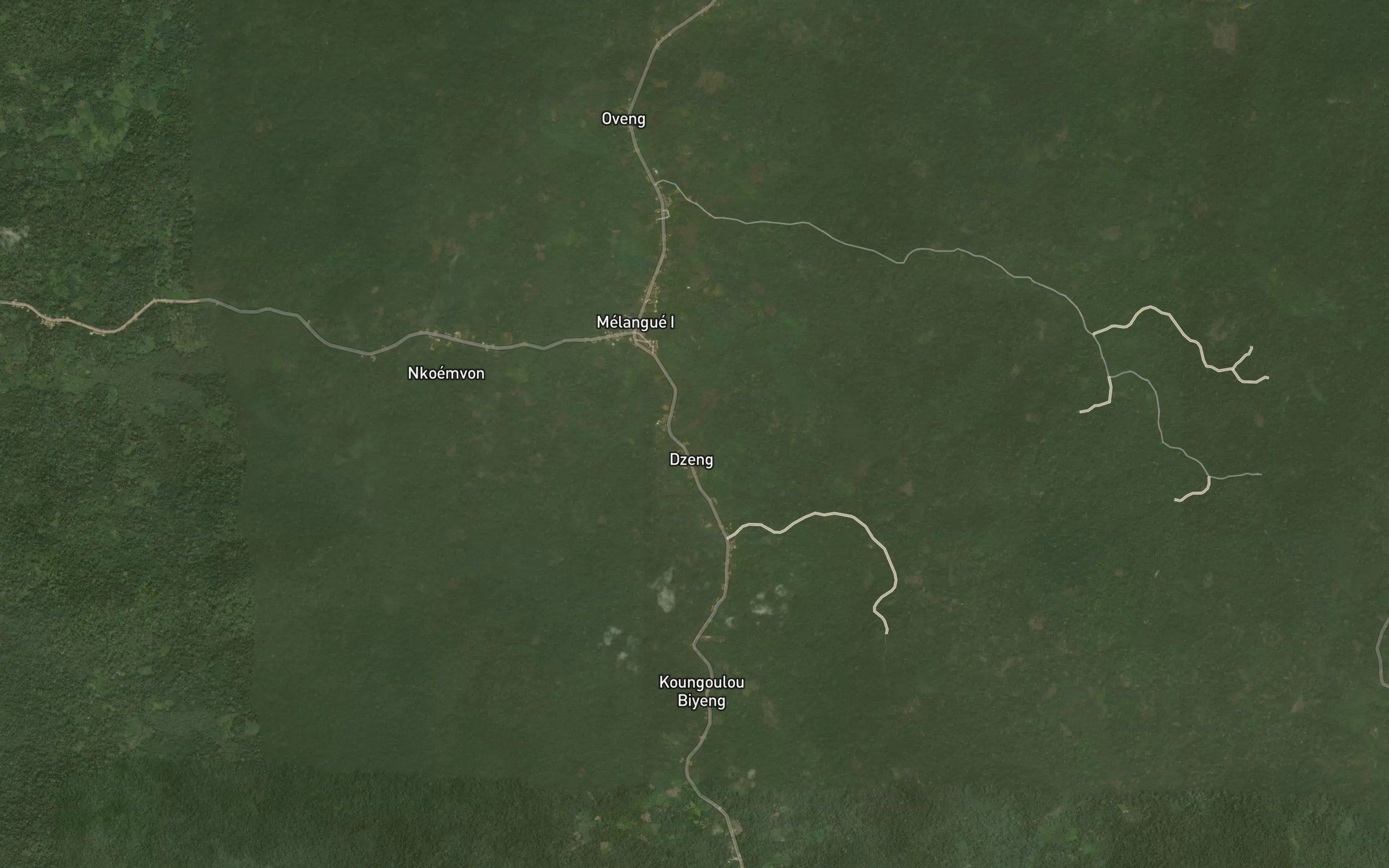 Dzeng
