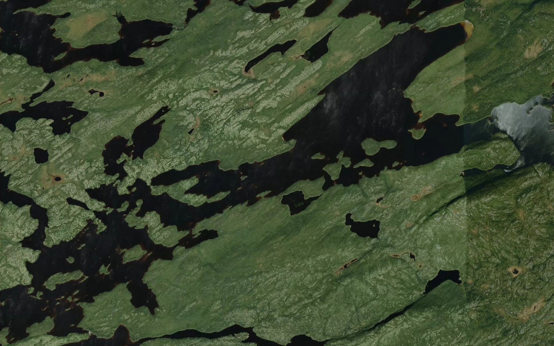 Satellite map of the Lac Guenet