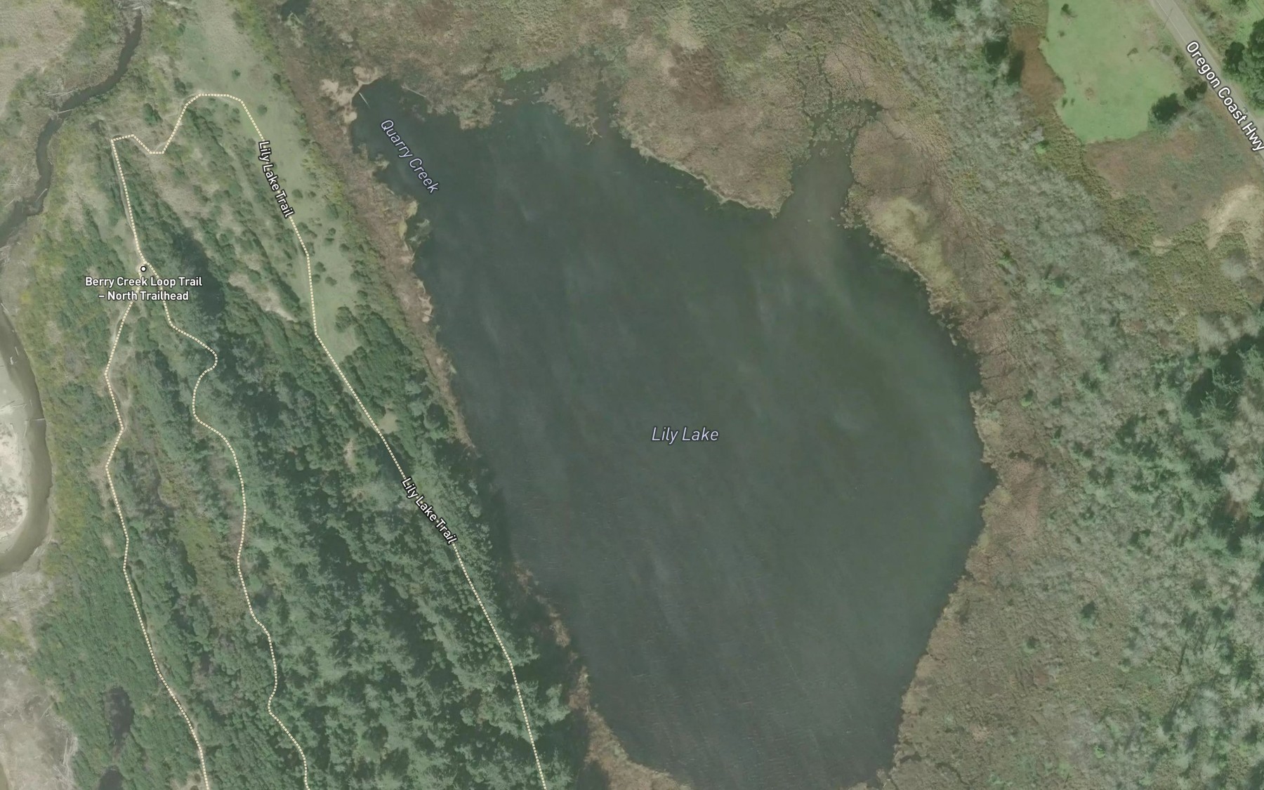 Satellite map of the Lily Lake