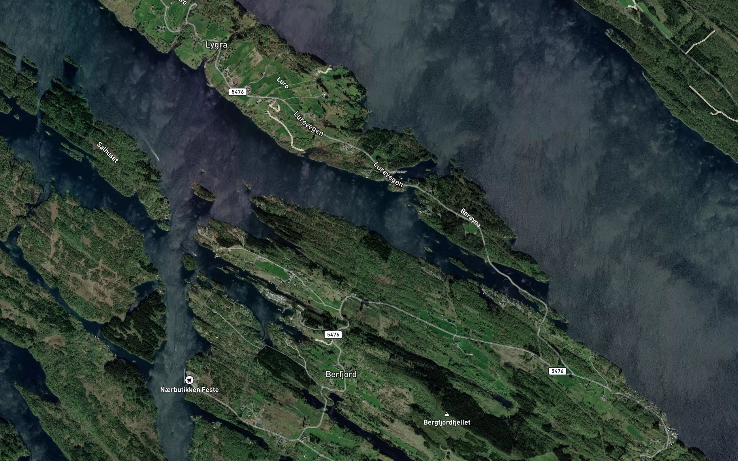 Persviki