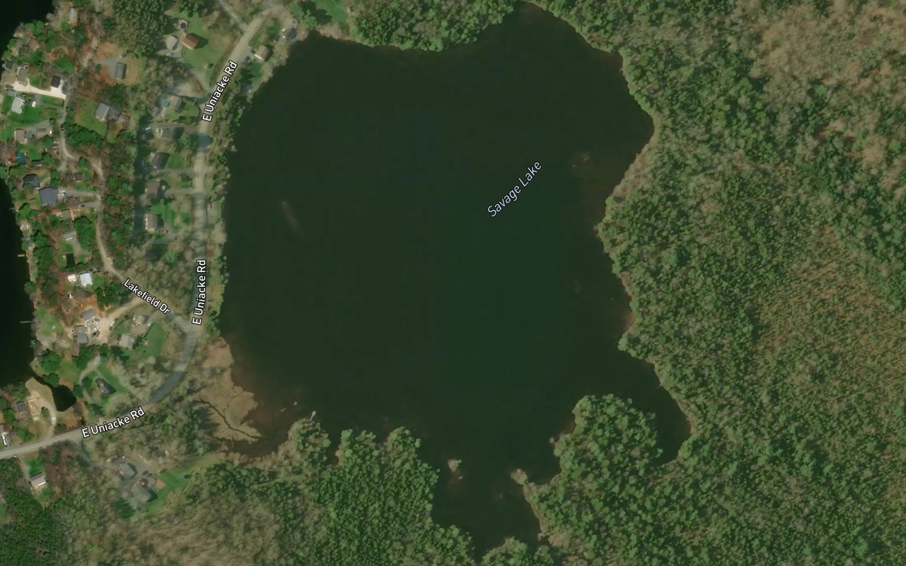 Satellite map of the Savage Lake