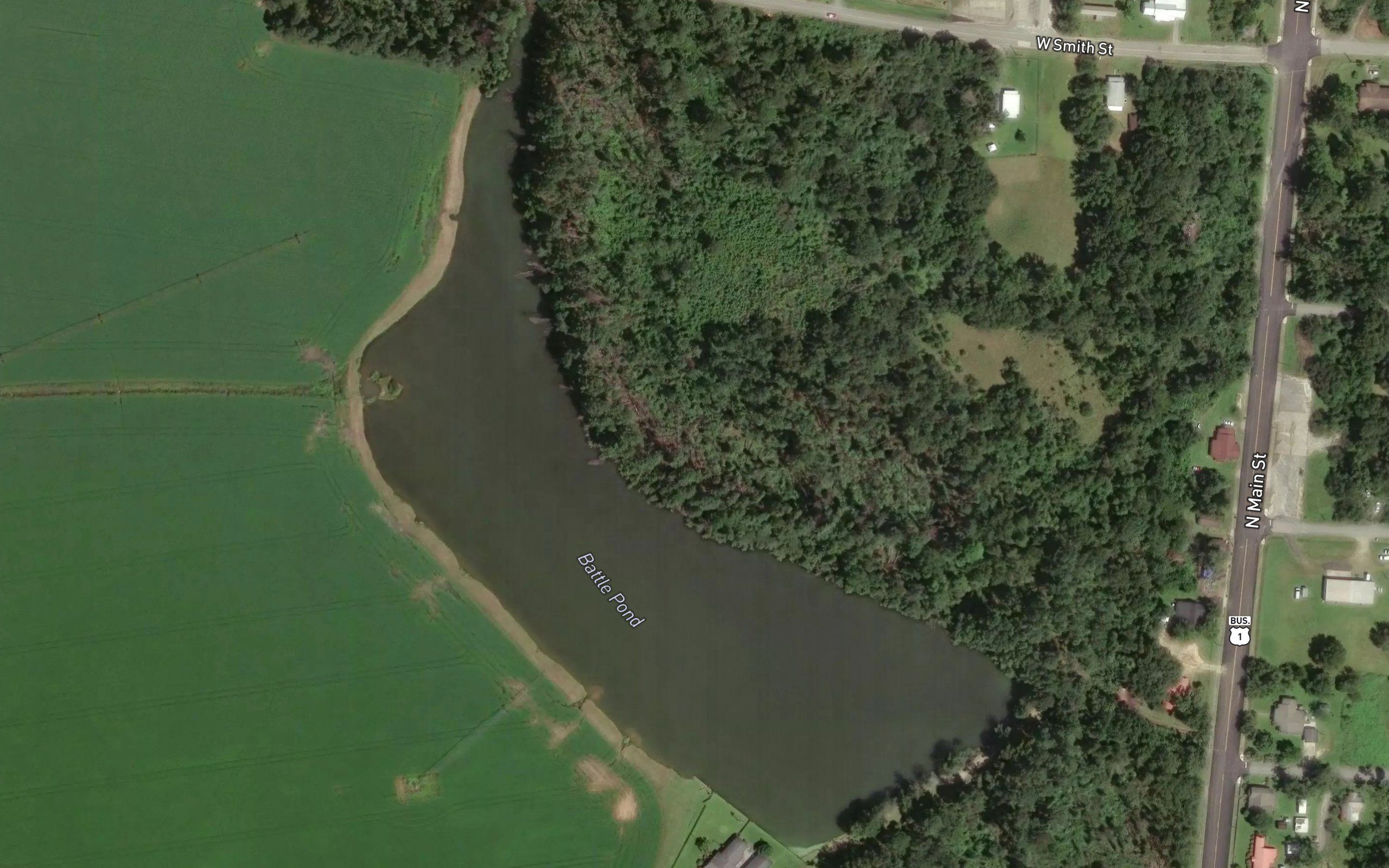Battle Pond