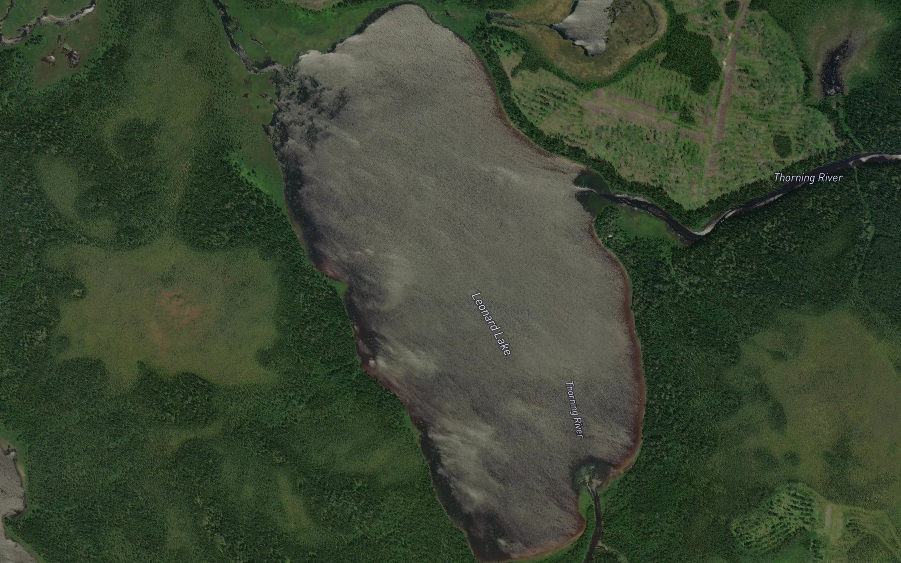 Satellite map of the Leonard Lake