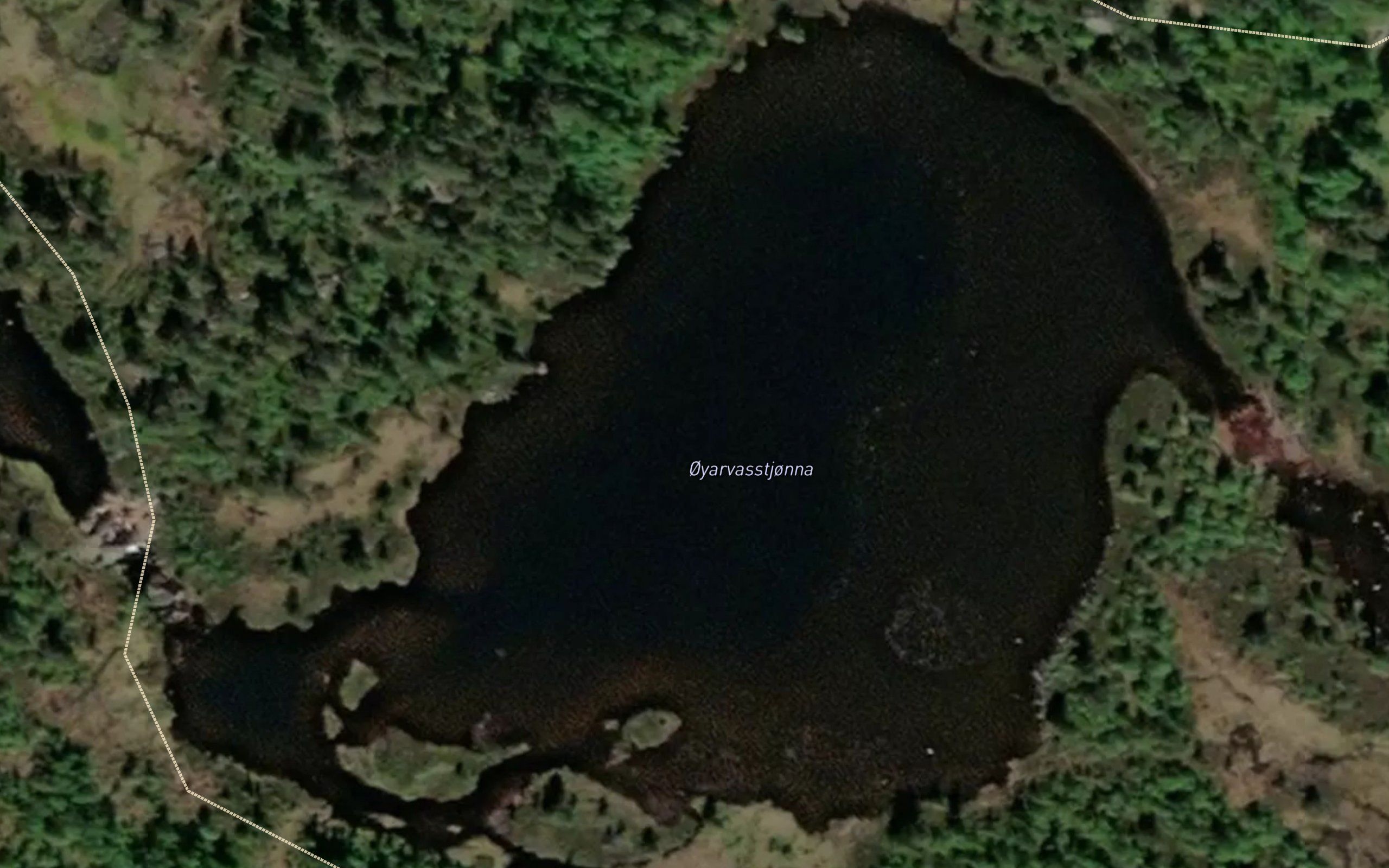 Oyarvasstjorn